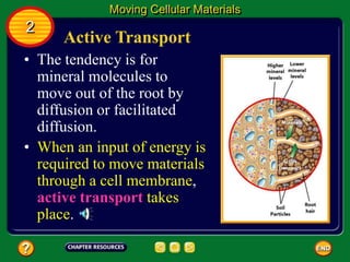 Active Transport
• The tendency is for
mineral molecules to
move out of the root by
diffusion or facilitated
diffusion.
Moving Cellular Materials
2
• When an input of energy is
required to move materials
through a cell membrane,
active transport takes
place.
 