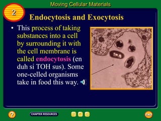 Endocytosis and Exocytosis
• This process of taking
substances into a cell
by surrounding it with
the cell membrane is
called endocytosis (en
duh si TOH sus). Some
one-celled organisms
take in food this way.
Moving Cellular Materials
2
 