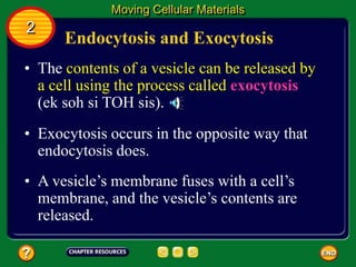 Endocytosis and Exocytosis
• The contents of a vesicle can be released by
a cell using the process called exocytosis
(ek soh si TOH sis).
Moving Cellular Materials
2
• Exocytosis occurs in the opposite way that
endocytosis does.
• A vesicle’s membrane fuses with a cell’s
membrane, and the vesicle’s contents are
released.
 