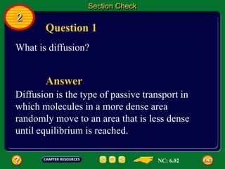 Question 1
What is diffusion?
Section Check
2
Diffusion is the type of passive transport in
which molecules in a more dense area
randomly move to an area that is less dense
until equilibrium is reached.
Answer
NC: 6.02
 