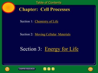 Chapter: Cell Processes
Table of Contents
Section 3: Energy for Life
Section 1: Chemistry of Life
Section 2: Moving Cellular Materials
 