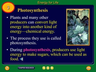 Photosynthesis
• Plants and many other
producers can convert light
energy into another kind of
energy—chemical energy.
• The process they use is called
photosynthesis.
Energy for Life
3
• During photosynthesis, producers use light
energy to make sugars, which can be used as
food.
 