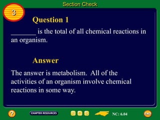 Question 1
Answer
_______ is the total of all chemical reactions in
an organism.
The answer is metabolism. All of the
activities of an organism involve chemical
reactions in some way.
Section Check
3
NC: 6.04
 