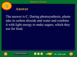3
Section Check
Answer
The answer is C. During photosynthesis, plants
take in carbon dioxide and water and combine
it with light energy to make sugars, which they
use for food.
NC: 6.02, 6.04
 