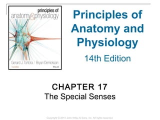 CHAPTER 17
The Special Senses
Principles of
Anatomy and
Physiology
14th Edition
Copyright © 2014 John Wiley & Sons, Inc. All rights reserved.
 