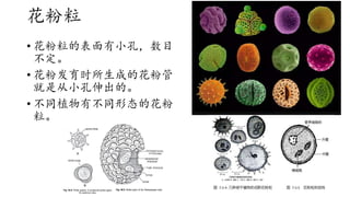 统考生物第十七章生殖