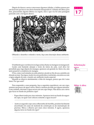 Depois de descer a serra e atravessar algumas cidades, o ônibus passou por                                                           A U L A
um local em que havia um cheiro bastante desagradável. Arlindo até olhou para
fora, procurando alguma fábrica ou esgoto, mas o que viu foi uma paisagem
parecida com a da figura abaixo:                                                                                                         17




    Olhando o desenho e relendo o texto, faça uma descrição desse ambiente.
    ..................................................................................................................................
    ..................................................................................................................................


    O ambiente que você descreveu logo acima chama-se mangue ou manguezal.                                                               Informação
    Lendo com bastante atenção o texto do início da aula, você deve ter                                                                  nova
percebido que, logo depois do mangue, apareceu um grande rio. Sem o rio, não
seria possível a existência do mangue.
    O rio, como você estudou na aula anterior, já está no fim de seu caminho em
direção ao mar. Sua água, muito rica em partículas e nutrientes, encontra-se com
a água salgada do mar, criando um ambiente muito especial.
    Quando se observa atentamente o chão do mangue, parece que ele é uma
lama. Por que será?

    Para responder a essa pergunta, faça a seguinte experiência: em um copo,                                                             Mãos à obra
misture um pouco de água e terra. Deixe a mistura de lado por alguns minutos.
Com cuidado, derrame a água escura em um copo limpo. Não deixe cair a terra
que ficou no fundo do primeiro copo!

    · Fique observando por cinco minutos. Apareceu terra no fundo do segun-
      do copo, no qual você colocou somente a água escura?
      .............................................................................................................................

    · Junte ao segundo copo uma colherzinha de barrilha, produto facilmente
      encontrado em casas de material de construção ou de manutenção de
      piscinas. Mexa e observe por mais cinco minutos. E agora, apareceu
      alguma terra no fundo do copo?
      .............................................................................................................................
 