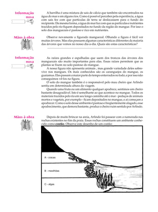 Informação
    A U L A       A barrilha é uma mistura de sais de cálcio que também são encontrados na
       nova   água do mar e em alguns rios. Como é possível perceber pela experiência, a água

   17         com sais fez com que partículas de terra se deslocassem para o fundo do
              recipiente. Da mesma forma, a água do mar faz com que as partículas e nutrientes
              trazidos pelo rio fiquem depositados no fundo da região do mangue. Por isso o
              solo dos manguezais é pastoso e rico em nutrientes.

Mãos à obra       Observe novamente a figurado manguezal. Olhando a figura é fácil ver
              muitas árvores. Mas elas possuem algumas características diferentes da maioria
              das árvores que vemos no nosso dia-a-dia. Quais são estas características?
                  .................................................................................................................................


Informação        As raízes grandes e espalhadas que saem dos troncos das árvores dos
      nova    manguezais são muito importantes para elas. Essas raízes permitem que as
              plantas se fixem no solo pastoso do mangue.
                  A nossa figura não apresenta animais , mas grande variedade deles sobre-
              vive nos mangues. Os mais conhecidos são os caranguejos do mangue, os
              guaiamus. Eles passam a maior parte do tempo enterrados no lodo, e por isso não
              conseguimos vê-los na figura.
                  O solo do mangue também é o responsável pelo mau cheiro que Arlindo
              sentiu em determinada altura da viagem.
                  Quando uma fruta ou um alimento qualquer apodrece, sentimos um cheiro
              bastante desagradável. Isto é semelhante ao que acontece no mangue. Todos os
              materiais trazidos pelo rio em seu longo caminho até o mar - pedaços de animais
              mortos e vegetais, por exemplo - ficam depositados no mangue, e aí começam a
              apodrecer. Como o solo desse ambiente é pastoso e freqüentemente alagado, esse
              apodrecimento, que demora bastante, produz o cheiro ruim sentido por Arlindo.


Mãos à obra       Depois de muito brincar na areia, Arlindo foi passear com a namorada nas
              rochas existentes no fim da praia. Essas rochas constituem um ambiente conhe-
              cido como costão Observe este desenho de um costão:
                         costão.




                  A - cracas




                  B - mexilhões




                  C - algas
 