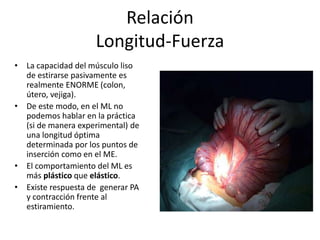 Relación
Longitud-Fuerza
• La capacidad del músculo liso
de estirarse pasivamente es
realmente ENORME (colon,
útero, vejiga).
• De este modo, en el ML no
podemos hablar en la práctica
(si de manera experimental) de
una longitud óptima
determinada por los puntos de
inserción como en el ME.
• El comportamiento del ML es
más plástico que elástico.
• Existe respuesta de generar PA
y contracción frente al
estiramiento.
 