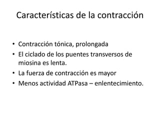 Características de la contracción
• Contracción tónica, prolongada
• El ciclado de los puentes transversos de
miosina es lenta.
• La fuerza de contracción es mayor
• Menos actividad ATPasa – enlentecimiento.
 