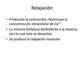 Relajación
• Producida la contracción, disminuye la
concentración intracelular de Ca+2
• La miosina fosfatasa desfosforila a la miosina,
con lo cual ésta se desactiva
• Se produce la relajación muscular
 