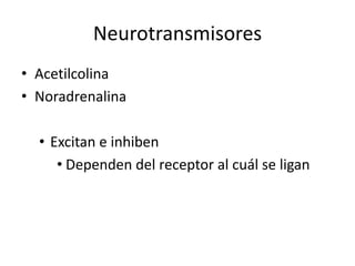 Neurotransmisores
• Acetilcolina
• Noradrenalina
• Excitan e inhiben
• Dependen del receptor al cuál se ligan
 