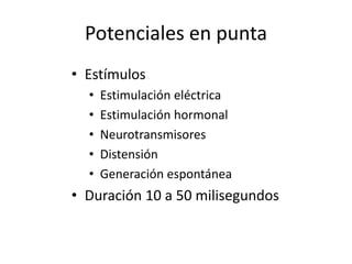 Potenciales en punta
• Estímulos
• Estimulación eléctrica
• Estimulación hormonal
• Neurotransmisores
• Distensión
• Generación espontánea
• Duración 10 a 50 milisegundos
 