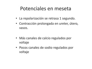 Potenciales en meseta
• La repolarización se retrasa 1 segundo.
• Contracción prolongada en ureter, útero,
vasos.
• Más canales de calcio regulados por
voltaje
• Pocos canales de sodio regulados por
voltaje
 