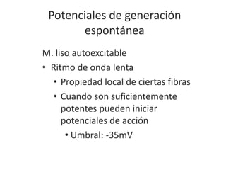 Potenciales de generación
espontánea
M. liso autoexcitable
• Ritmo de onda lenta
• Propiedad local de ciertas fibras
• Cuando son suficientemente
potentes pueden iniciar
potenciales de acción
• Umbral: -35mV
 