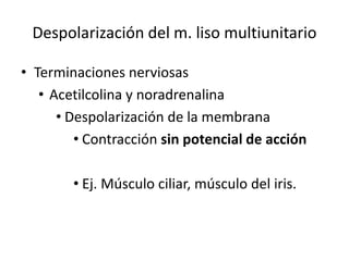 Despolarización del m. liso multiunitario
• Terminaciones nerviosas
• Acetilcolina y noradrenalina
• Despolarización de la membrana
• Contracción sin potencial de acción
• Ej. Músculo ciliar, músculo del iris.
 