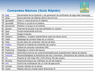 Comandos Básicos (Guía Rápida)
 