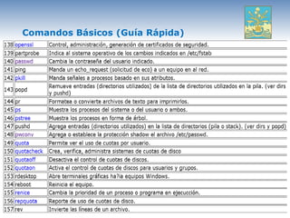 Comandos Básicos (Guía Rápida)
 