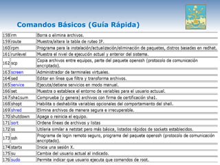 Comandos Básicos (Guía Rápida)
 