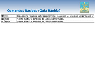 Comandos Básicos (Guía Rápida)
 
