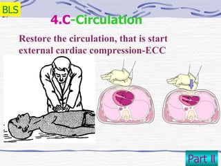 17 Cpr | PPT
