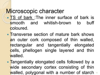 Microscopic character
 TS of bark :The inner surface of bark is
smooth and whitish-brown to buff
coloured.
 Transverse section of mature bark shows
an outer cork composed of thin walled,
rectangular and tangentially elongated
cells, phellogen single layered and thin
walled.
 Tangentially elongated cells followed by a
wide secondary cortex consisting of thin
walled, polygonal with a number of starch 12
 