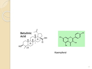 17
Kaempferol
 