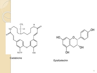 19
Cadabicine
Epiafzelechin
 