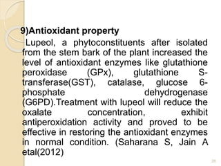 9)Antioxidant property
Lupeol, a phytoconstituents after isolated
from the stem bark of the plant increased the
level of antioxidant enzymes like glutathione
peroxidase (GPx), glutathione S-
transferase(GST), catalase, glucose 6-
phosphate dehydrogenase
(G6PD).Treatment with lupeol will reduce the
oxalate concentration, exhibit
antiperoxidation activity and proved to be
effective in restoring the antioxidant enzymes
in normal condition. (Saharana S, Jain A
etal(2012)
28
 