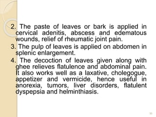 2. The paste of leaves or bark is applied in
cervical adenitis, abscess and edematous
wounds, relief of rheumatic joint pain.
3. The pulp of leaves is applied on abdomen in
splenic enlargement.
4. The decoction of leaves given along with
ghee relieves flatulence and abdominal pain.
It also works well as a laxative, cholegogue,
appetizer and vermicide, hence useful in
anorexia, tumors, liver disorders, flatulent
dyspepsia and helminthiasis.
30
 
