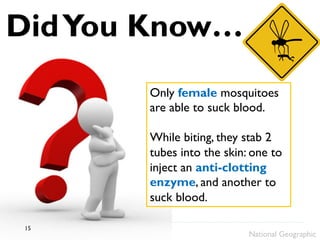 DidYou Know…
Only female mosquitoes
are able to suck blood.
While biting, they stab 2
tubes into the skin: one to
inject an anti-clotting
enzyme, and another to
suck blood.
National Geographic
15
 
