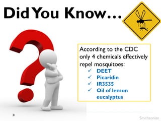 DidYou Know…
According to the CDC
only 4 chemicals effectively
repel mosquitoes:
ü  DEET
ü  Picaridin
ü  IR3535
ü  Oil of lemon
eucalyptus
Smithsonian
31
 