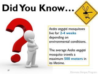 DidYou Know…
Aedes aegypti mosquitoes
live for 2-4 weeks
depending on
environmental conditions.
The average Aedes aegypti
mosquito travels a
maximum 500 meters in
its lifetime.
Eliminate Dengue Program
37
 