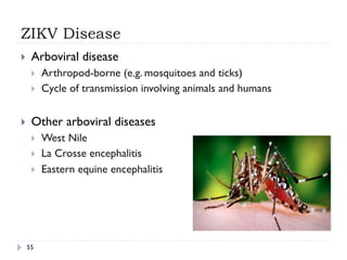 ZIKV Disease
55
}  Arboviral disease
}  Arthropod-borne (e.g. mosquitoes and ticks)
}  Cycle of transmission involving animals and humans
}  Other arboviral diseases
}  West Nile
}  La Crosse encephalitis
}  Eastern equine encephalitis
 