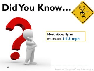DidYou Know…
Mosquitoes fly an
estimated 1-1.5 mph.
American Mosquito Control Association
64
 