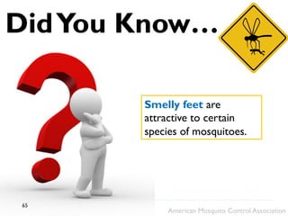 DidYou Know…
Smelly feet are
attractive to certain
species of mosquitoes.
American Mosquito Control Association
65
 