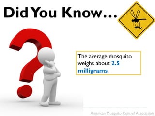 DidYou Know…
The average mosquito
weighs about 2.5
milligrams.
American Mosquito Control Association
 