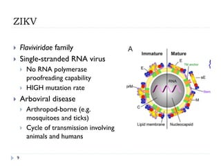 ZIKV
9
}  Flaviviridae family
}  Single-stranded RNA virus
}  No RNA polymerase
proofreading capability
}  HIGH mutation rate
}  Arboviral disease
}  Arthropod-borne (e.g.
mosquitoes and ticks)
}  Cycle of transmission involving
animals and humans
 