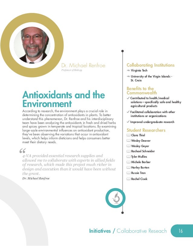 Mein Haus Essay In German