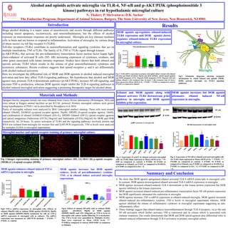Alcohol and opioids activate microglia via TLR-4, NF-κB and p-AKT/PI3K (phosphoinositide 3
kinase) pathways in rat hypothalamic microglial culture
N. Thaker; P. Shrivastava; D.K. Sarkar
The Endocrine Program, Department of Animal Sciences, Rutgers, The State University of New Jersey, New Brunswick, NJ 8901.
Introduction
Materials and Methods
Results
Sprague-Dawley pregnant female rats were obtained from Charles Rivers laboratories (Wilmington, MA) and
were inbred at Rutgers animal facilities as per ICUAC protocol. Primary microglial cultures were grown
using hypothalamus of PND-1 rat as described by Boyadjieva et al 2010.
Purity of microglial cultures were analyzed by IBA1 (microglial marker) staining. These cells were treated
ethanol (50mM), DAMGO (μ-opioid receptor agonist, 50μM), DPDPE (δ-opioid receptor agonist, 10nM),
and combination of ethanol DAMGO+Ethanol (DA+E), DPDPE+Ethanol (DP+E) opioid receptor agonists
and opioid antagonists (Naltrexone ((NTX),10ng/ml) and Naltrindole ((NTD),10ng/ml) for MOR and DOR
respectively, for 24 hours. To assess activation of TLR4 and the signaling pathways involved, protein and
RNA was isolated from microglia for western blot and Q-RT-PCR respectively. TNF-α levels were analyzed
by multiplex ELISA in microglial supernatants.
Binge alcohol drinking is a major cause of neurotoxicity and occurs through different pathways
including neural apoptosis, excitotoxicity, and neuroinflammation, but the effects of alcohol
exposure on neuroimmune responses are poorly understood. Microglia are key immune mediator
cells in brain and are known to respond to inflammation. Activation of microglia, by various drugs
of abuse occurs via toll like receptor 4 (TLR4).
Toll-like receptors (TLRs) contribute to neuroinflammation and signaling cytokines that act on
multiple interleukins, TNF-α/TLRs. The family of IL,TNF-α /TLRs signal through kinases
(p-AKT/PI3K), that activate the pro-inflammatory transcription factor nuclear factor kappa light-
chain-enhancer of activated B cells (NF- kB) increasing expression of cytokines, oxidases, and
other genes associated with innate immune responses. Studies have shown that both ethanol and
opioids activate TLR4 which results in the release of glial neuroinflammatory cytokines and
neurotoxic substances. Recent evidence suggests that opioid receptors µ and δ act differentially
with alcohol-induced activation.
Here we investigate the differential role of MOR and DOR agonists in alcohol induced microglial
activation and how they affect TLR-4 signaling pathways. We hypothesize that alcohol and MOR
agonist may promote TLR-4 downstream pathways (p-AKT/PI3K), increase NF-κB signaling, and
increase TNF-α production, whereas DOR agonist might inhibit the TLR-4 signaling pathways in
alcohol induced microglial activation suggesting a promising therapeutic target for alcohol abuse.
p-AKT expression in microglia cellsControl
EtO
H
DAM
G
O
DPDPE
DA+E
DP+E
NTD+E
NTX+E
0.0
0.5
1.0
1.5
2.0
2.5
*
#
###
*

aa
p-AKT/betaactin
pixeldensity
Microglial marker and opioid receptor staining of primary microglial culture.
Ethanol and MOR agonist along with
ethanol activates TLR4 downstream pAkt
pathway in microglia and DOR agonist
inhibits pAkt expression.
C
ontrol
E
tO
H
D
A
M
G
O
D
P
D
P
E
D
A
+E
D
P
+E
N
TD
+E
N
TX
+E
0.0
0.5
1.0
1.5
2.0
NF-kB expression in microglia cells
**
***
***


aaa###
NF-kB/betaactinexpression
pixeldensity
β-Actin
p-Akt
Fig 1:Images representing staining of primary microglial culture 10X. (A) IBA1 (B) µ-opioid receptor
(MOR) (C) δ-opioid receptor (DOR).
Fig 3: Expression of pAKT in ethanol activated microglial
cells via TLR4. Data expressed as Mean ±SEM (n=6). * P<
0.05 as compared to control, # P<0.05, ## P<0.01 as
compared to Ethanol, aa P<0.01 as compared to DAMGO,
µ P<0.001 as compared to DA + E.
Fig 4: Expression of NF-κB in ethanol activated microglial cells
via TLR4. Data expressed as Mean ±SEM (n=6). ** P<0.01, ***
P<0.001 as compared to control, # P<0.05, ## P<0.01 as
compared to Ethanol, aaa P<0.001 as compared to DAMGO, µ
P<0.001 as compared to DA + E, δ P<0.001 as compared to DP
+ E.MOR agonist enhances ethanol induced TNF-α
mRNA expression in microglia
Fig5 TNF-α mRNA expression in microglial cells. Effects of
ethanol (50mM) with or without MOR agonist (DAMGO, 50μM)
or DOR agonist (DPDPE,10nM) treatments for 24h on TNF-α
mRNA expression in microglial cells in cultures. The mRNA
expression was measured by QRT-PCR methods. * P<0.05, **
P<0.01, vs. control.
MOR agonist increases but DOR agonist
attenuates ethanol induced NF-κB
expression in microglia.
MOR agonist increases but DOR agonist
reduces, levels of pro-inflammatory cytokine
TNF- α in ethanol induce activated microglia
supernatant.
Summary and Conclusion
NF-κB
β-Actin
A B C
MOR agonist up-regulates ethanol-induced
TLR4 expression and DOR agonist down-
regulates ethanol-induced TLR4 expression
in microglial culture.
Fig 2: TLR4 mRNA expression in primary microglial culture treated with ethanol
(50 mM) and MOR (DAMGO, 50µM) and DOR (DPDPE, 10nM) opioid agonists
and MOR antagonist (NTX, 10ng/ml), DOR antagonist (NTD, 10ng/ml) with and
without ethanol. Cells treatment time 24 hours. Cells treatment time 24 hours.
Data expressed as Mean ±SEM (n=6), * P<0.05, ** P<0.01, as compared to control,
#P<0.05, as compared to ethanol.
Fig.6. Effects of ethanol (50 mM) with or without MOR
agonist (DAMGO, 50μM) or DOR agonist
(DPDPE,10nM) and LPS (10ng/ml) on TNF-α levels in
microglial cells culture media following 24 h incubation.
The TNF-α levels were quantified by Multiplex ELISA.
Data were expressed as Mean ±SEM (n=6). ***
P<0.001as compared to control, ###P<0.001 as compared
to Ethanol.
Fig7: Schematic diagrams showing proposed
mechanisms by which ethanol and opioids (MOR,
DOR) activate microglia via TLR-4 signaling
pathways.
 We show that MOR agonist upregulated ethanol activated TLR-4 mRNA transcripts in microglial cells.
In contrast, DOR agonist downregulated ethanol activated TLR-4 mRNA expression in microglia.
 MOR agonist increased ethanol-induced TLR-4 downstream p-Akt kinase protein expression but DOR
agonist inhibited p-Akt kinase expression.
 MOR agonist increased ethanol-induced pro-inflammatory transcription factor NF-κB protein expression
but DOR significantly attenuated the expression in microglia.
 MOR agonist increases TNF-α mRNA expression in ethanol-induced microglia. MOR agonist increased
ethanol-induced pro-inflammatory cytokine, TNF-α levels in microglial supernatant whereas, DOR
agonist inhibited the release of inflammatory cytokines in microglial supernatant suggesting an anti-
inflammatory effect.
 These findings suggest that ethanol-induces neuroinflammation through TLR-4 receptors, via p-Akt and
NF-κB activation which further activates TNF-α expression and its release which is associated with
immune responses. Our results demonstrate that MOR and DOR opioid agonists play differential roles in
ethanol-induced inflammation through TLR-4 activation in primary microglial culture.
 