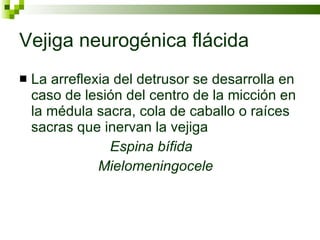 Vejiga neurogénica flácida La arreflexia del detrusor se desarrolla en caso de lesión del centro de la micción en la médula sacra, cola de caballo o raíces sacras que inervan la vejiga  Espina bífida Mielomeningocele 