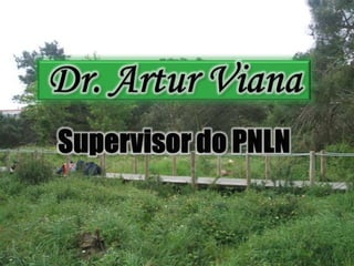 Dr. Artur VianaSupervisor do PNLN