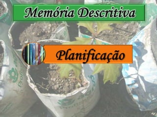 Memória DescritivaPlanificação