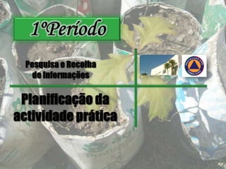 1ºPeríodoPesquisa e Recolha de Informações Planificação da actividade prática
