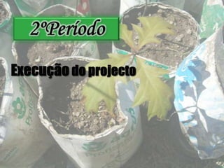 2ºPeríodoExecução do projecto 