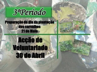 3ºPeríodoPreparação do dia da plantação dos carvalhos 21 de MaioAcção de Voluntariado30 de Abril