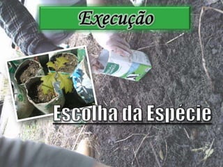ExecuçãoEscolha da Espécie