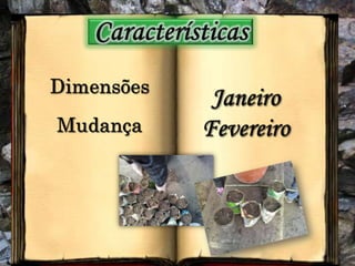 CaracterísticasDimensõesJaneiroMudançaFevereiro