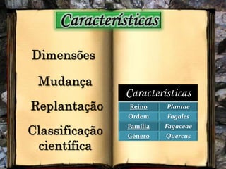 CaracterísticasDimensõesMudançaReplantaçãoClassificação científica