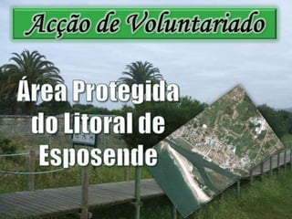 Acção de VoluntariadoÁrea Protegida do Litoral de Esposende